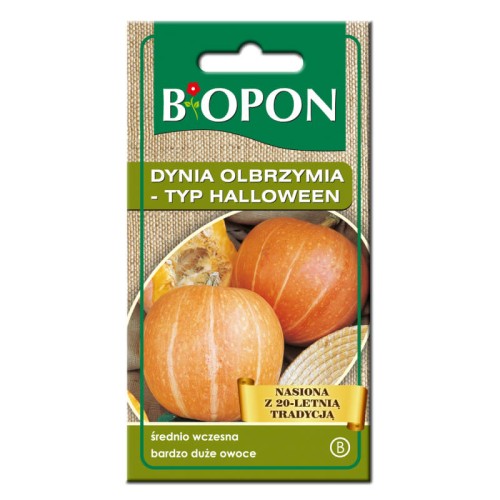 Dynia olbrzymia typ Halloween