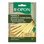 Fasola zwykła karłowa Złota Saxa - nasiona