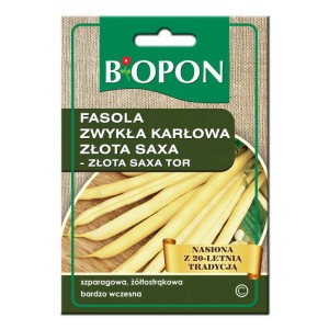 Fasola zwykła karłowa Złota Saxa - nasiona