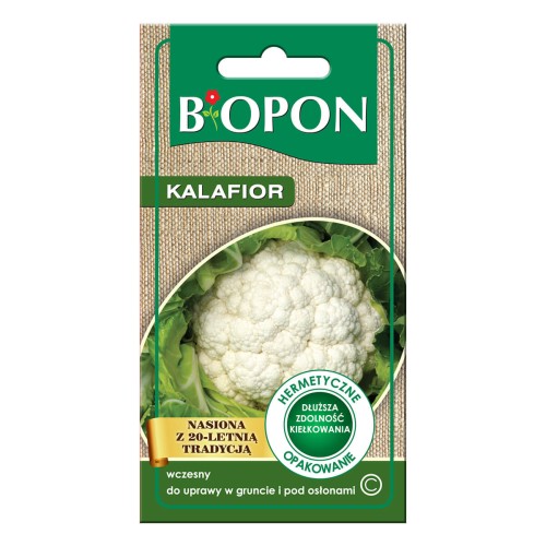 Kalafior