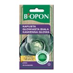 Kapusta głowiasta biała Kamienna Głowa - nasiona