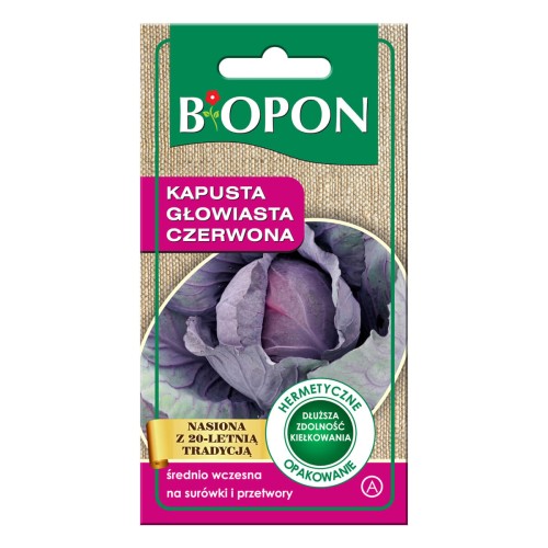 Kapusta czerwona
