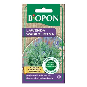 Lawenda wąskolistna - nasiona