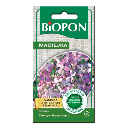 Maciejka