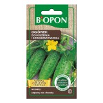 Ogórek do kiszenia i konserwowania - nasiona