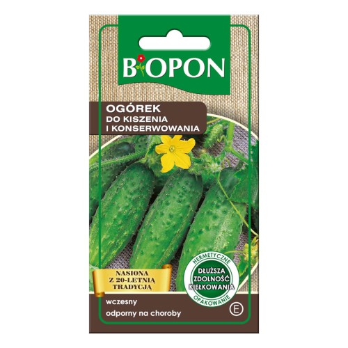 Ogórek do kiszenia i konserwowania