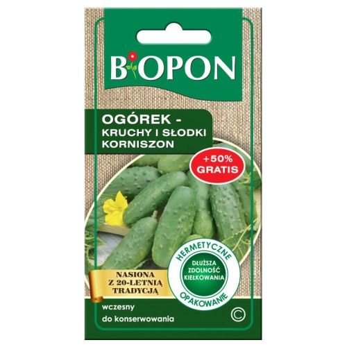 Ogórek korniszon wczesny