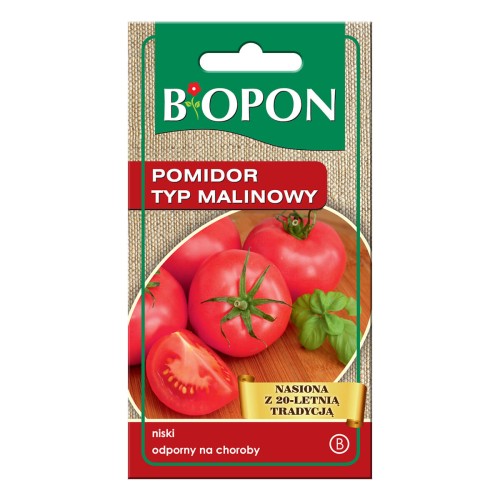 Pomidor malinowy