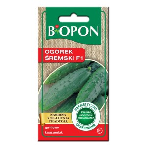 Ogórek gruntowy Śremski F1 - nasiona