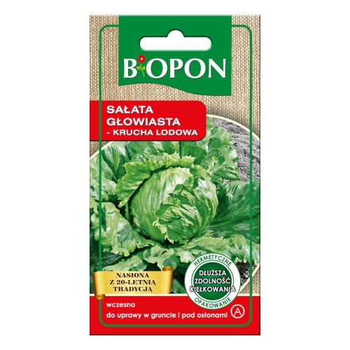 Sałata głowiasta krucha lodowa