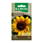 Słonecznik ogrodowy wysoki - nasiona