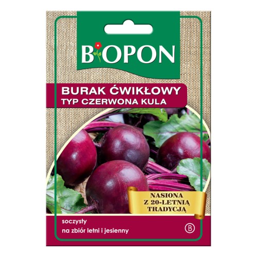 Burak ćwikłowy soczysty