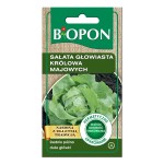Sałata głowiasta Królowa Majowych - nasiona