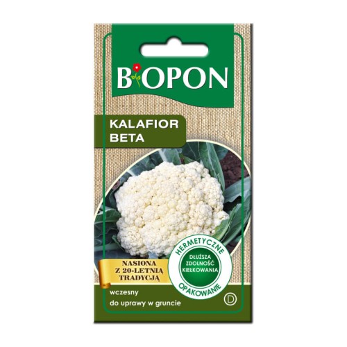 Kalafior beta