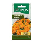 Aksamitka niska pomarańczowa - nasiona