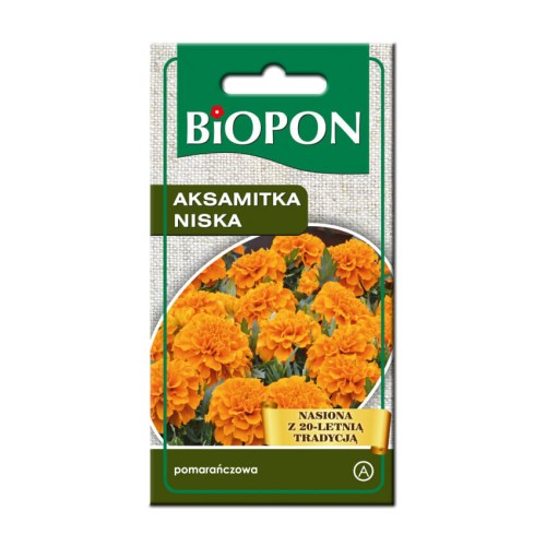 Aksamitka niska pomarańczowa