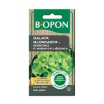 Sałata głowiasta masłowa - nasiona