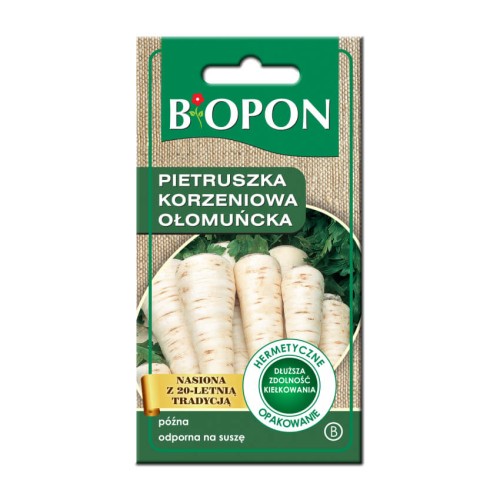 Pietruszka korzeniowa