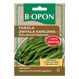 Fasola szparagowa zielona zwykła  - nasiona
