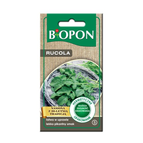 Rukola