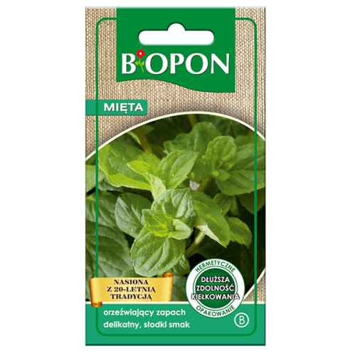 Mięta - nasiona