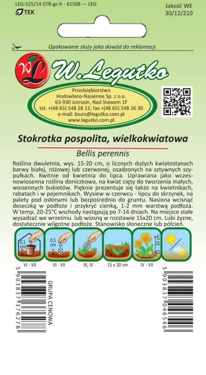 Stokrotka pospolita wielkokwiatowa - mieszanka