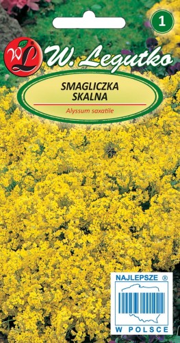 Smagliczka skalna żółta