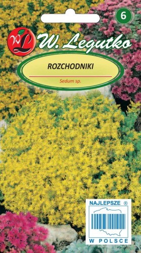 Rozchodnik
