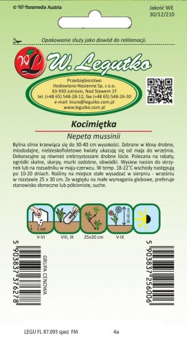 Kocimiętka