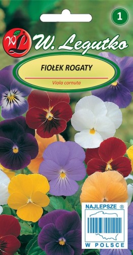 Fiołek rogaty
