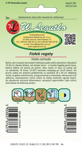Fiołek rogaty