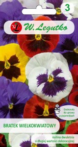Bratek wielokwiatowy mieszanka