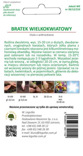 Bratek wielokwiatowy brązowo-żółte