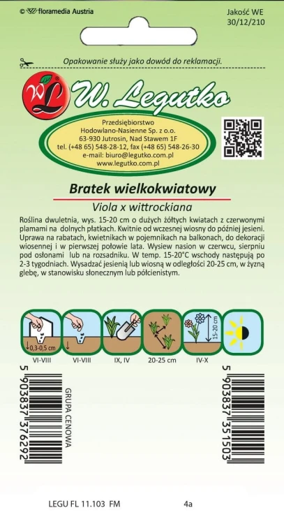 Bratek wielokwiatowy Early Yellow Red Blotch
