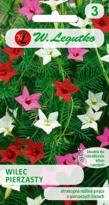 Wilec pierzasty mieszanka