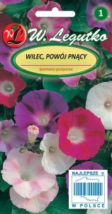 Wilec, Powój pnący mieszanka