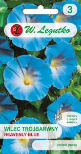 Wilec trójbarwny Heavenly Blue niebieskie