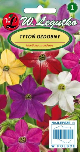 Tyton ozdobny