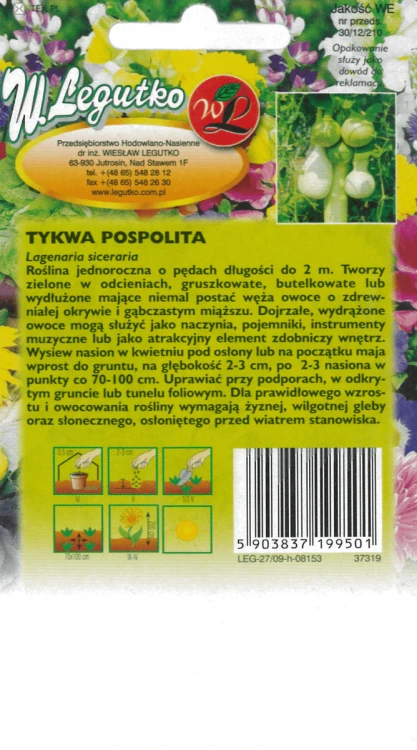 Tykwa pospolita