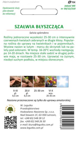 Szałwia błyszcząca czerwona