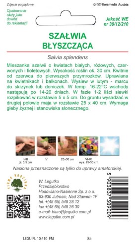 Szałwia błyszcząca
