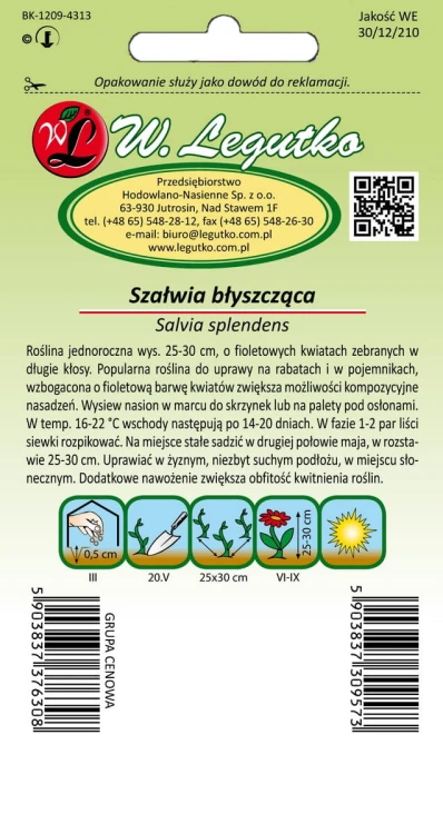 Szałwia błyszcząca fioletowa