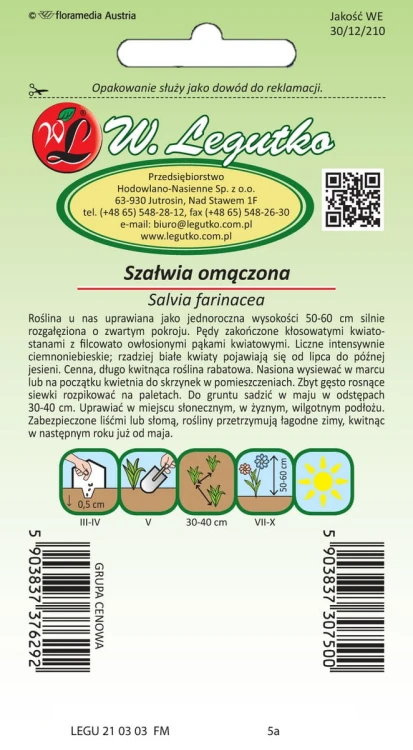 Szalwia omączona