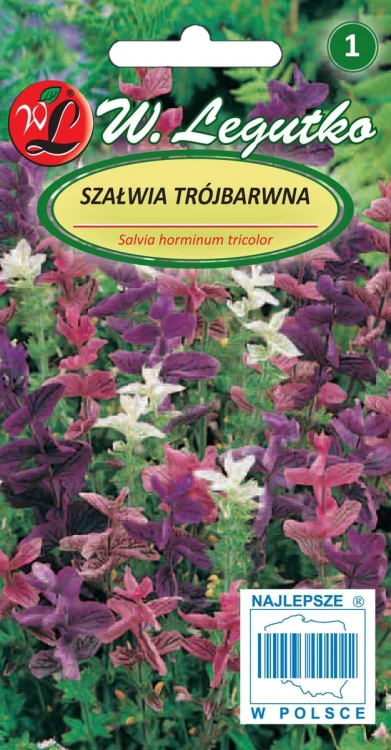 Szałwia trójbarwna