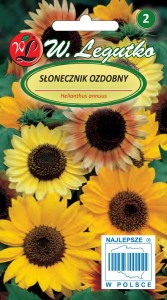 Słonecznik ozdobny wysoki pojedynczy - mieszanka