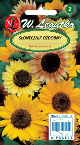 Słonecznik ozdobny wysoki