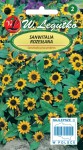 Sanwitalia rozesłana