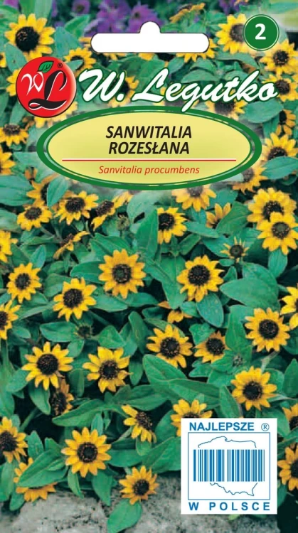 Sanwitalia rozeslana