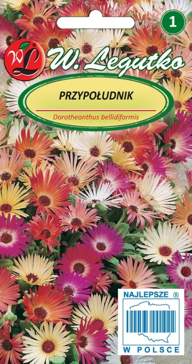 Przypołudnik