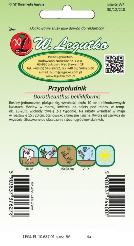 Przypołudnik